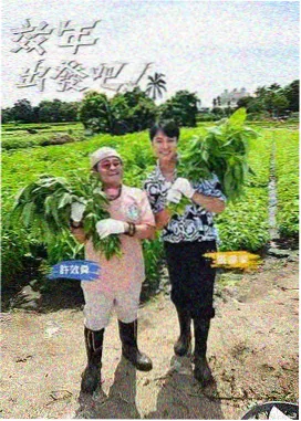 厨房风暴 综艺在线观看